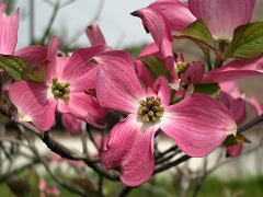 c0190010_21125291.jpg