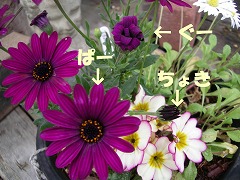 c0190010_21205394.jpg