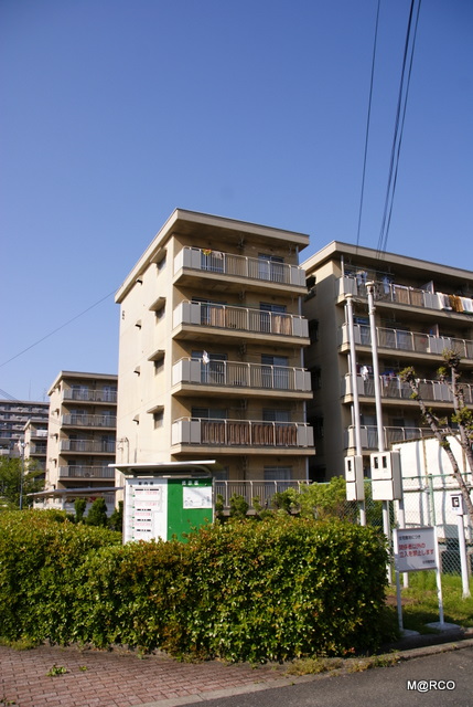 c0037611_20481160.jpg