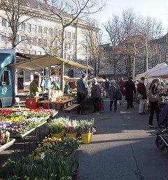 f0199511_232115.jpg