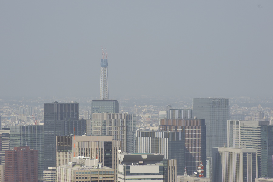 a0140914_19372080.jpg