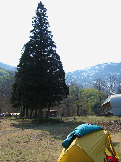 f0225414_23225528.jpg