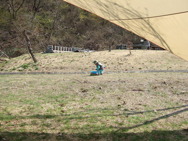 f0225414_2324321.jpg