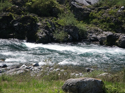 a0059315_23321265.jpg