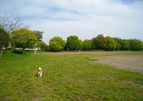 c0084117_14594595.jpg