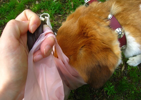 c0084117_15232133.jpg