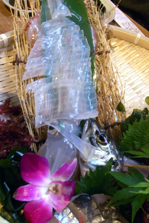 e0083517_0343881.jpg