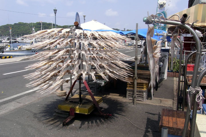 e0083517_0594953.jpg