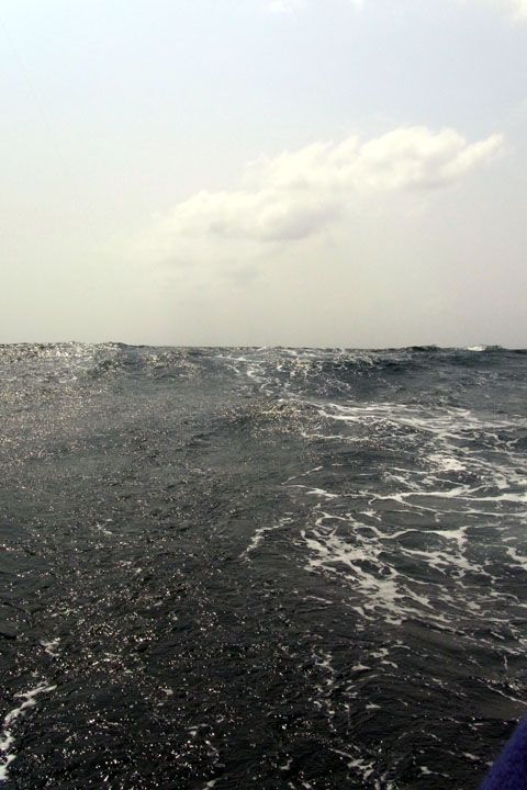 e0083517_10238.jpg