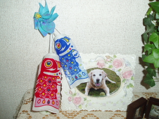 f0192117_17324243.jpg