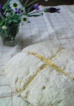 c0156018_17331121.jpg