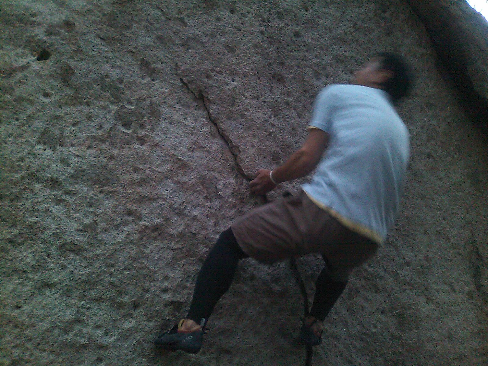 c0210618_02215.jpg