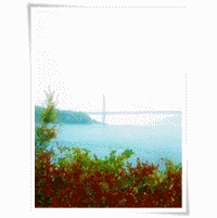 e0136420_19183065.gif