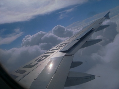d0098022_1924029.jpg