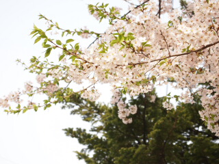 d0068023_23503867.jpg