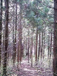 f0028123_23342870.jpg