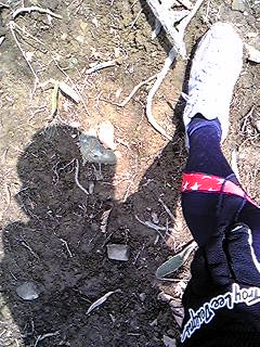 f0028123_23365049.jpg