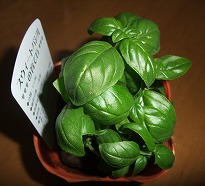 f0037623_21495420.jpg