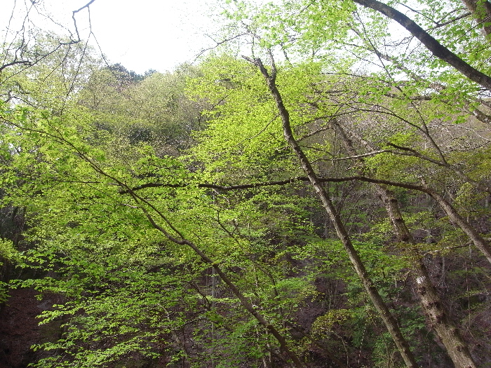 f0103126_21492664.jpg