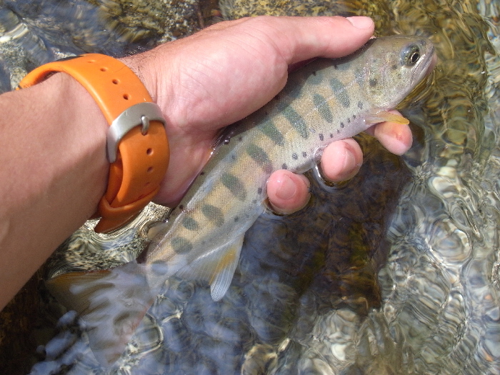 f0103126_2152189.jpg