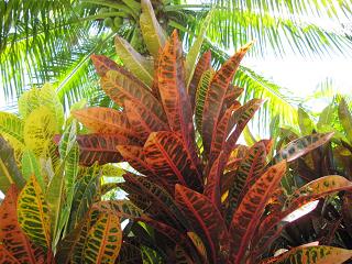 c0051529_10461.jpg