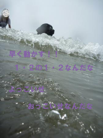 f0176830_21332698.jpg