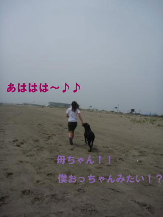 f0176830_21453665.jpg