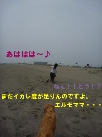 f0176830_2145536.jpg