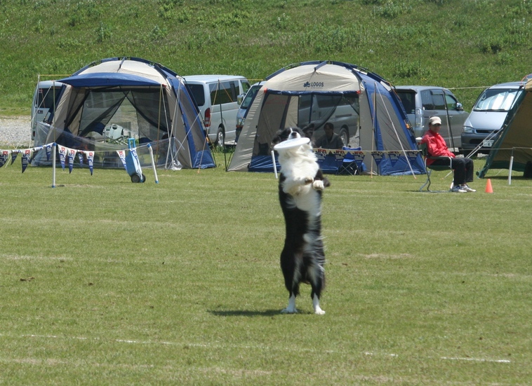 b0085331_11424357.jpg