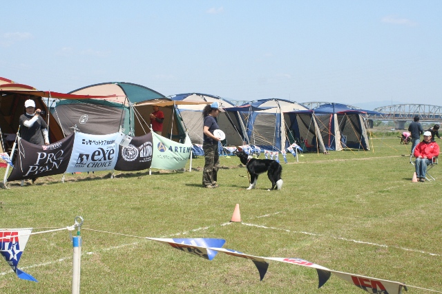 b0085331_1194148.jpg