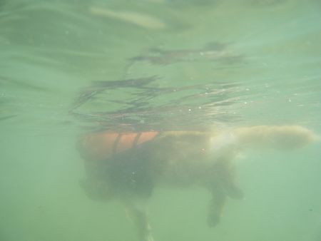 b0127531_2215121.jpg