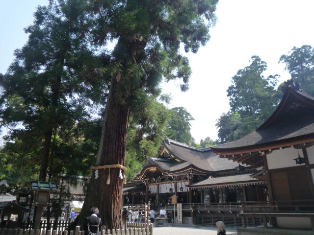 b0136931_21571040.jpg