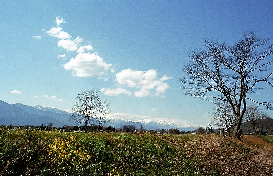 d0001533_17564526.jpg