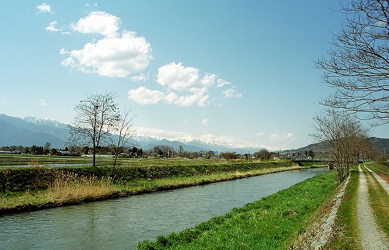 d0001533_1757593.jpg