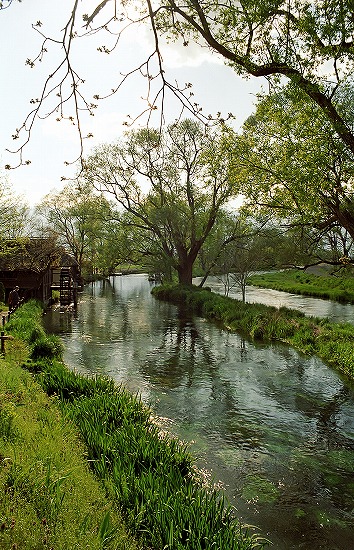 d0001533_17594029.jpg