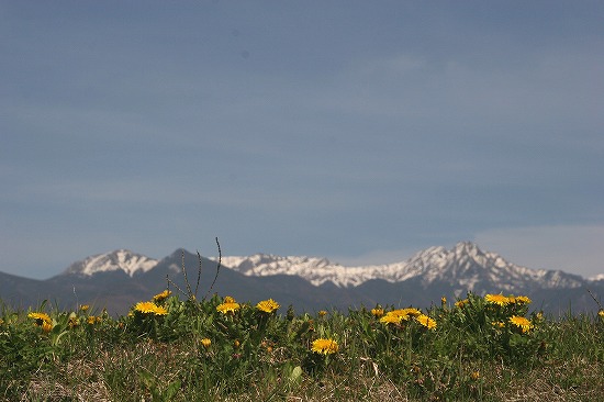 d0001533_18412083.jpg
