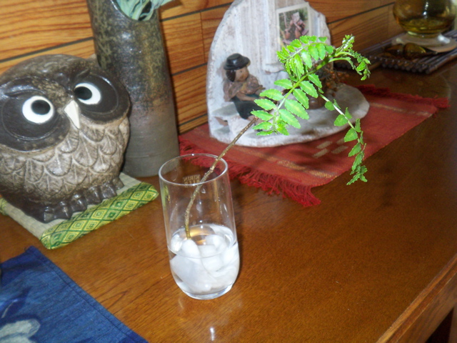 f0045433_21167100.jpg