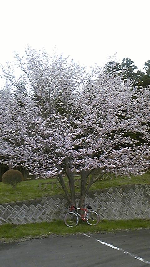 f0161333_9524430.jpg