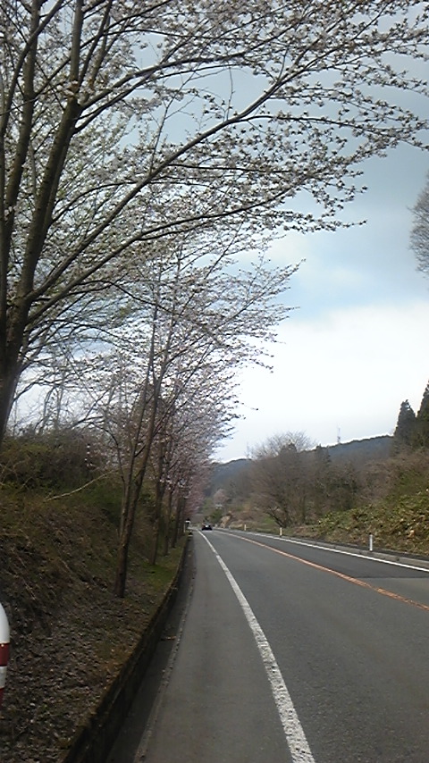 f0161333_9524488.jpg