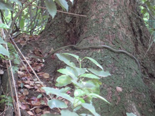 c0161034_13214617.jpg