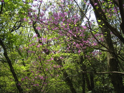 c0077338_2375395.jpg