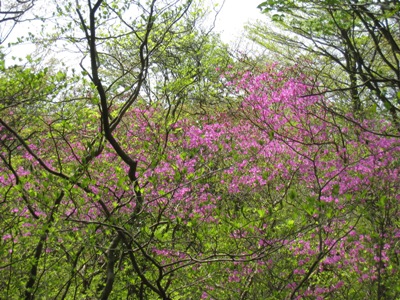 c0077338_2381539.jpg