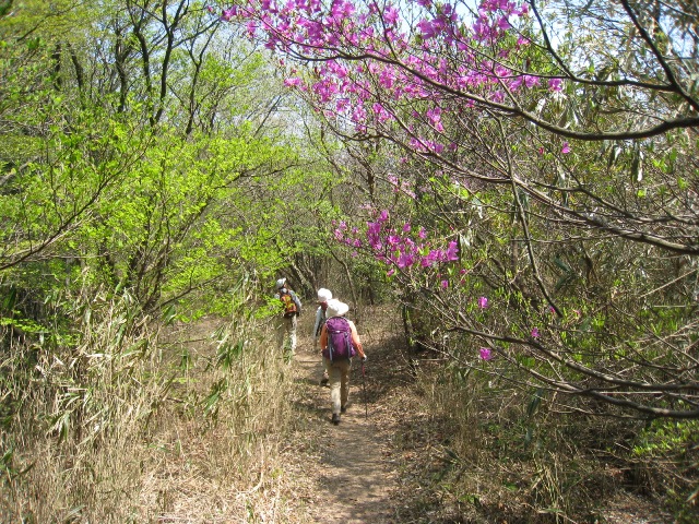 c0077338_2383692.jpg
