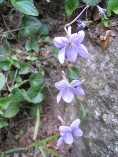 c0077338_239593.jpg