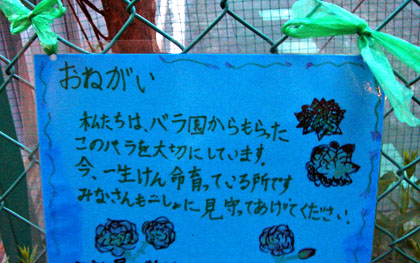 f0224138_12585645.jpg
