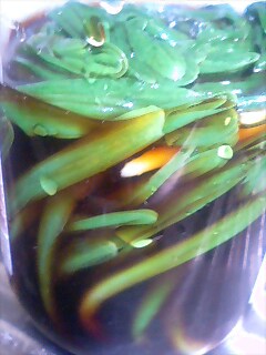 c0117239_8391899.jpg