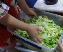 e0081339_0492896.jpg