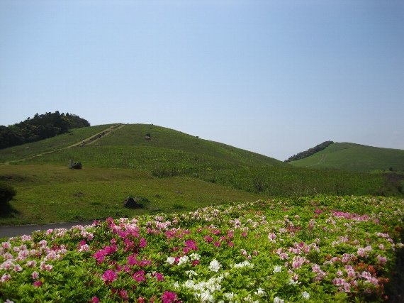 b0149340_21271980.jpg