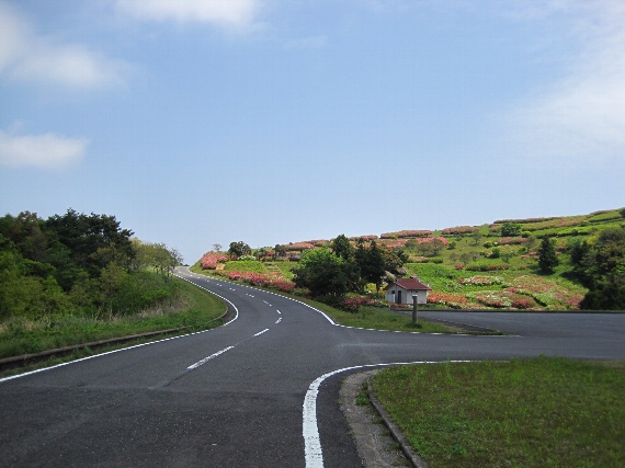 b0149340_21275928.jpg