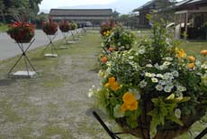 a0100742_8184716.jpg